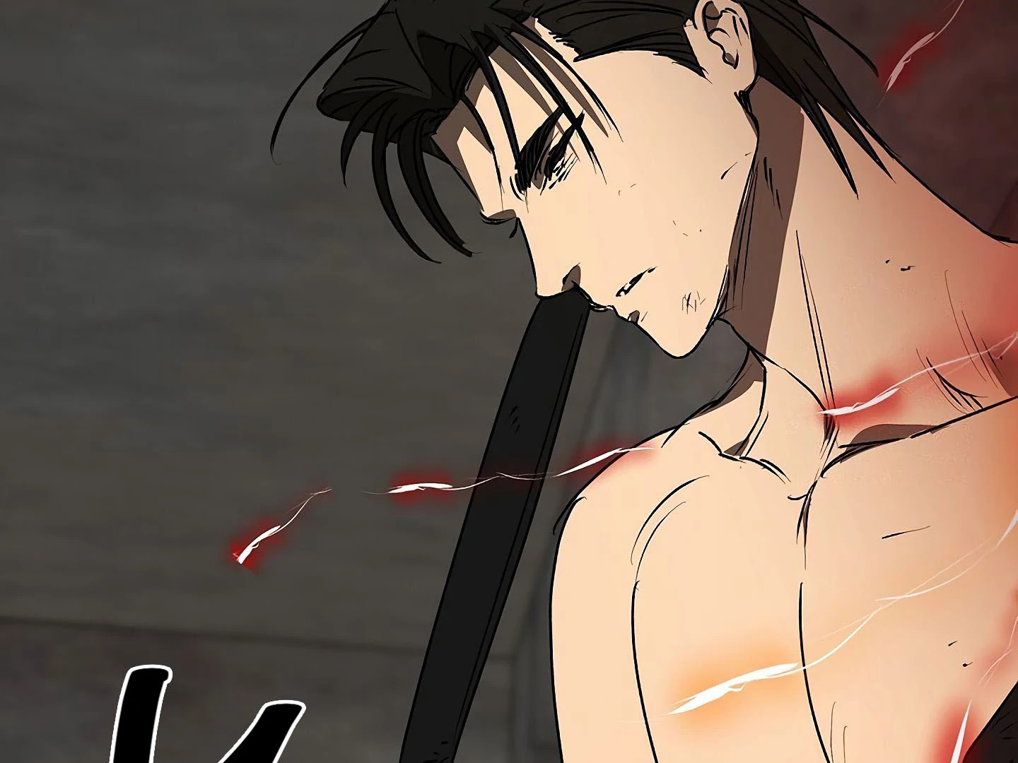 88974020 1440 1080 108756